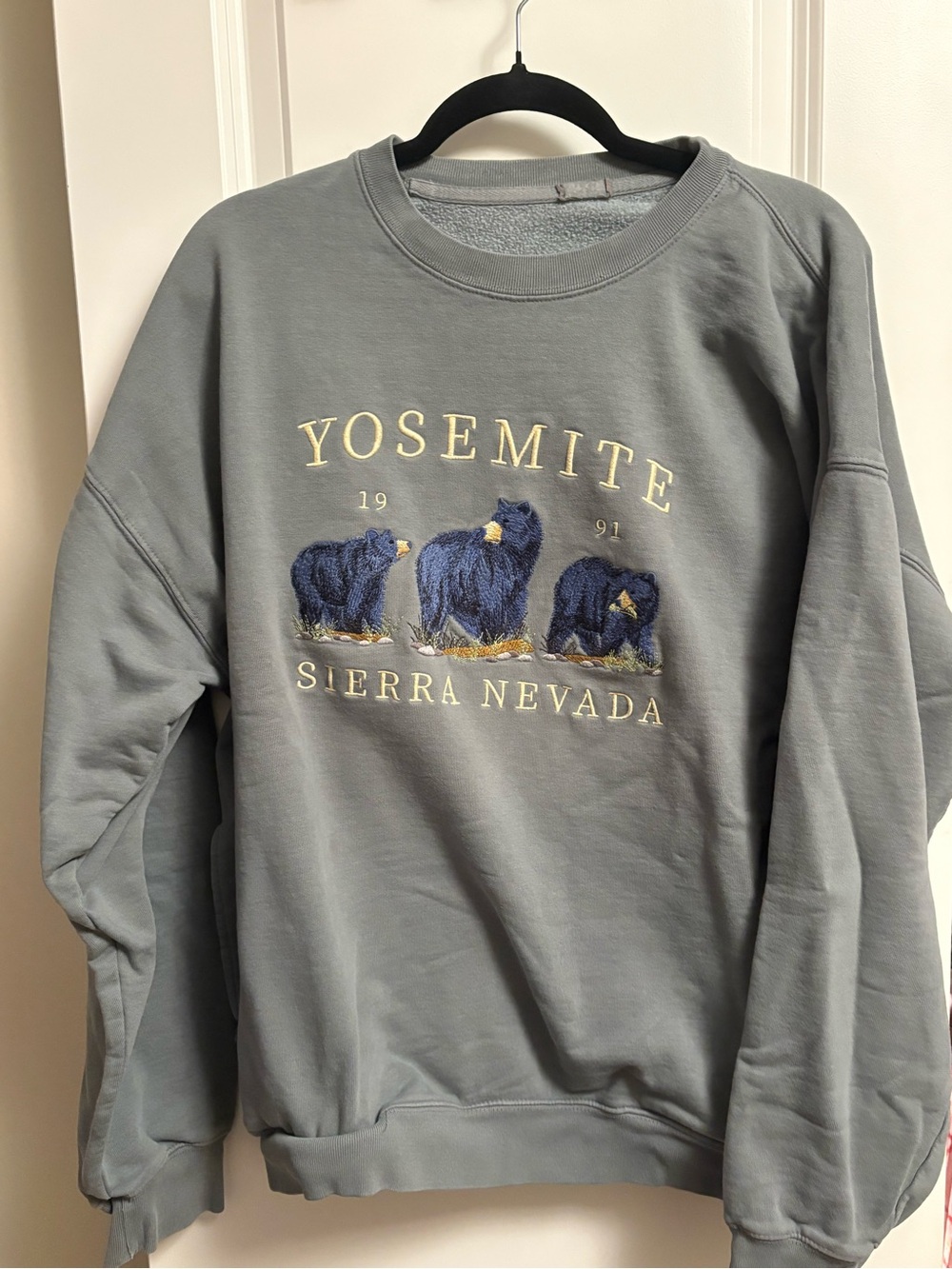 Brandy Melville Yosemite Sierra Nevada Bear Crewneck Sweatshirt in green